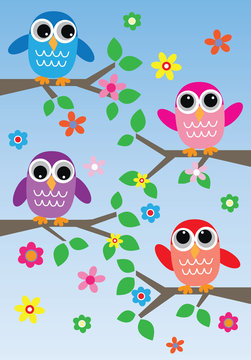 sweet colorful owls with a header