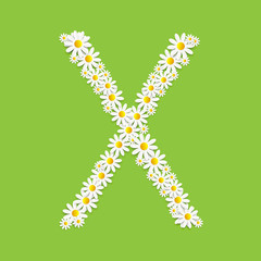 Flora Daisy Design Alphabet Vector Illustartion