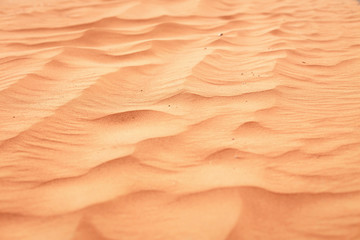 Sandy beach background. Sand texture.