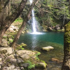 Waterfalls in a gorg in Catalonia