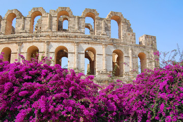 Obraz premium Tunisia amphitheater