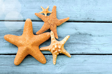 Summer beach. Starfish on a blue wooden background