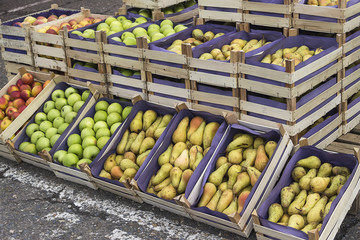 Apples and pears in crates