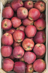 Apples in crate