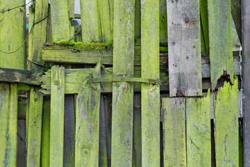 Light green wood planks vintage or grunge texture