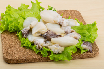 Raw cuttlefish