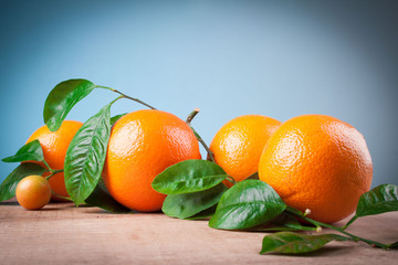 Oranges with shoots on a wooden table