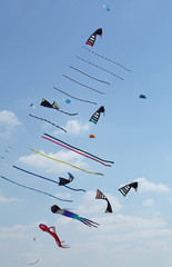 Festival de cerfs-volants