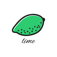 Hand drawn lime in doodle style. Vector illustration.