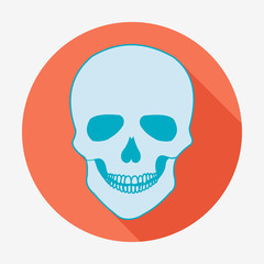 Single flat skull icon with long shadow. Vector illustration