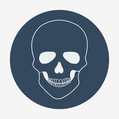 Single flat skull icon. Vector illustration