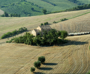 Marches (Italy): summer landscape