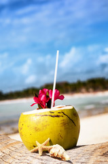 coconuts on the beach