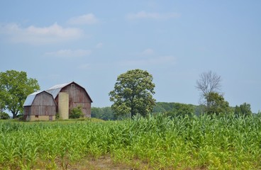 Fototapeta premium Weathered barn in the rural countryside