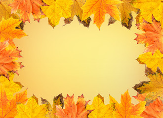 Naklejka na ściany i meble Frame of autumn leaves on yellow background
