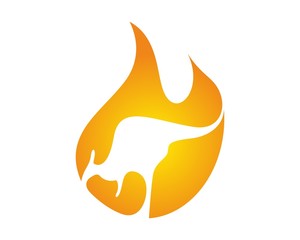 kangoroo financial logo
