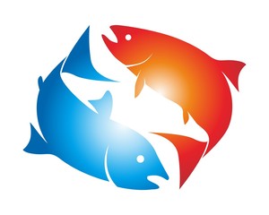 abstract fish logo