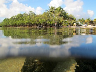 DuBois Park, Jupiter, Florida © Sirena Designs