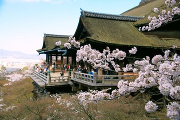 清水寺と桜
