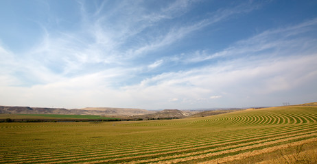 Center pivot farm