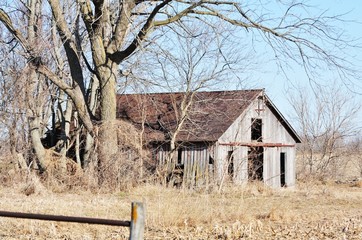 Abandoned Shed