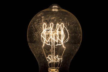 Vintage Light Bulb Filament