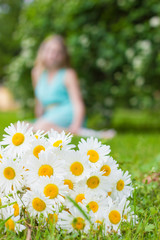 Fototapeta na wymiar bouquet of white daisies meadow lies on green grass