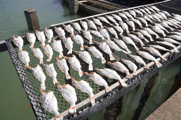 Thailand port local  travel landscape and destinations