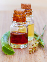 Spa Essential Oil - Natural Spas Ingredients for aroma aromather
