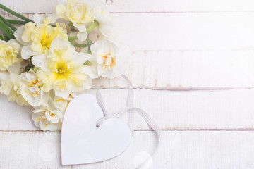 Background with fresh daffodils and heart