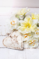 Obraz na płótnie Canvas Background with fresh daffodils and heart