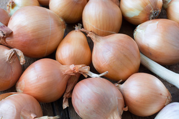Storage area onion and garlic