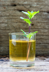 lemonade with mint on a dark wood background. tinting. selective