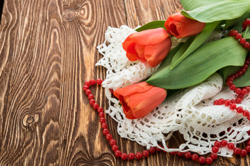 red tulips on white background