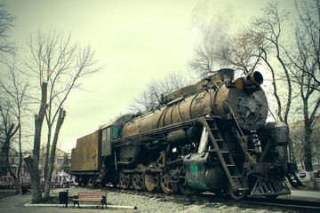 Obraz na płótnie Canvas Steam Train