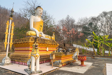 Thai-Burmese fusion art of Maehongson temple
