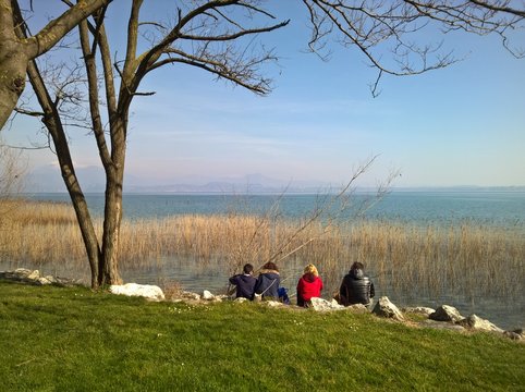 picnic