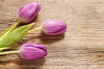 Violet tulips on wood