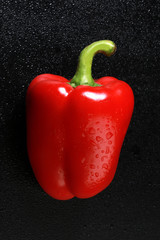 appetizing red bell pepper