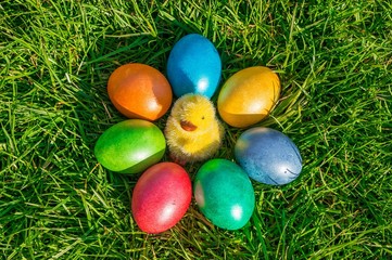 Colorful Easter eggs on a green grass