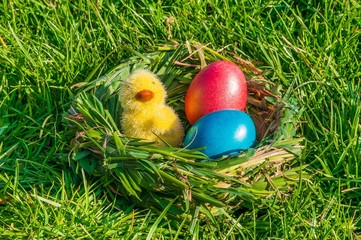 Nest with colored eggs