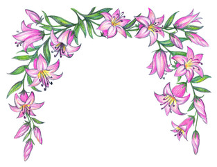 Obraz na płótnie Canvas Delicate pink lily. Pencil drawing