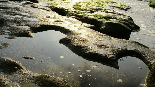 Wybrzeże 