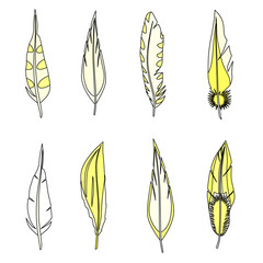 Set of feathers. Isolated on white. Vector illustration.