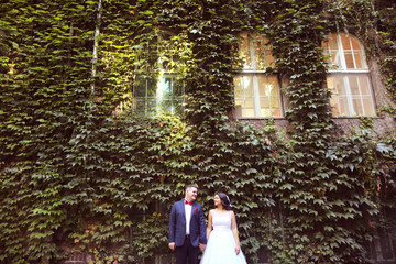 Bride and groom surrounded by ivy leafs