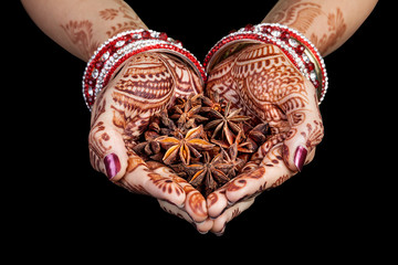Indian star anise spices