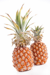 Fototapeta premium pineapple