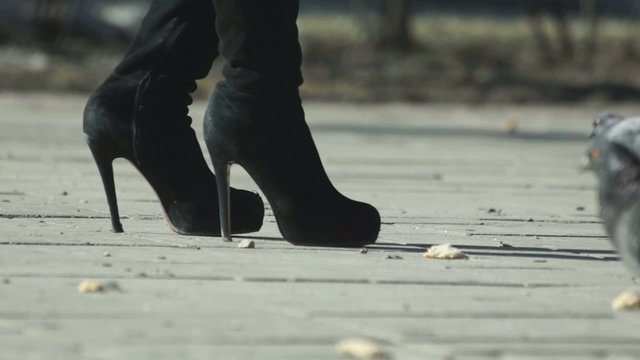 Female legs in boots and pigeons on the sidewalk