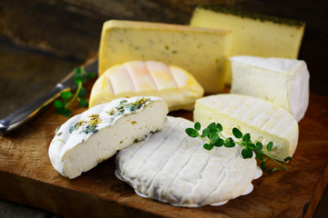 Milchprodukt Käse