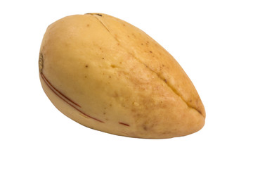 nut avocado isolated with clipping path